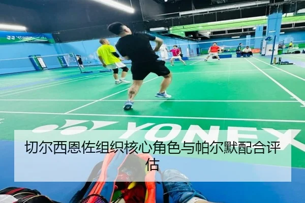 切尔西恩佐组织核心角色与帕尔默配合评估
