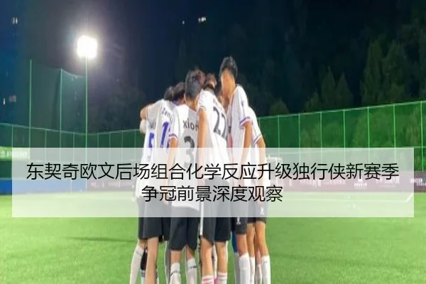 东契奇欧文后场组合化学反应升级独行侠新赛季争冠前景深度观察