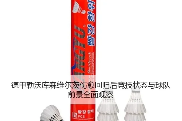 德甲勒沃库森维尔茨伤愈回归后竞技状态与球队前景全面观察