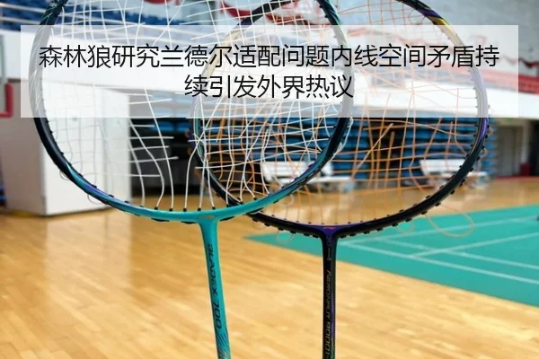 森林狼研究兰德尔适配问题内线空间矛盾持续引发外界热议
